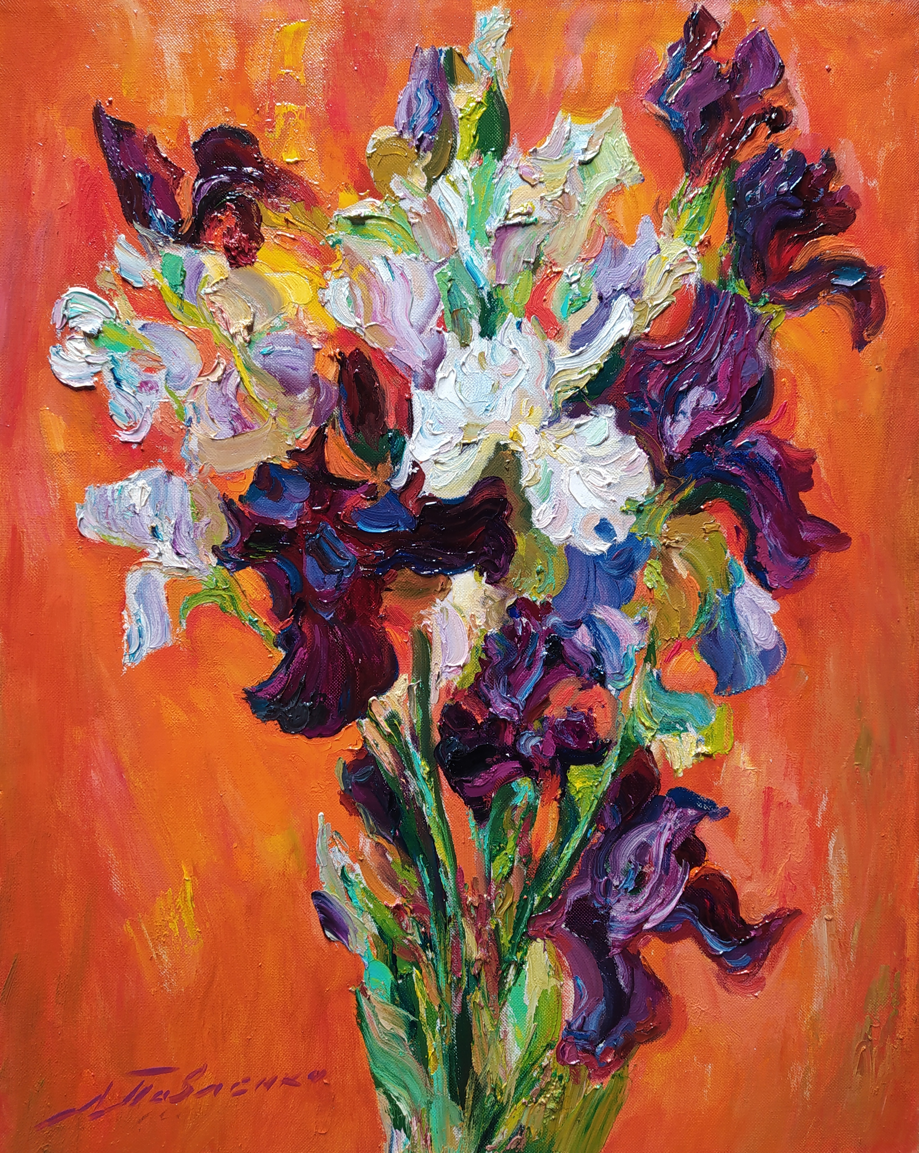 Irises on red